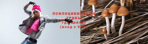 прущая мука Медвежьегорск