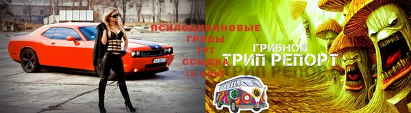 прущая мука Медвежьегорск
