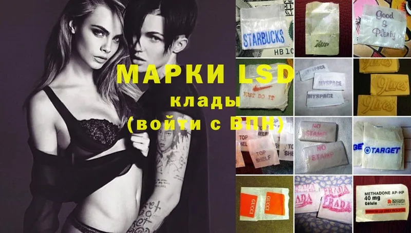 shop клад  кракен маркетплейс  Нижний Ломов  дарнет шоп  LSD-25 экстази ecstasy 