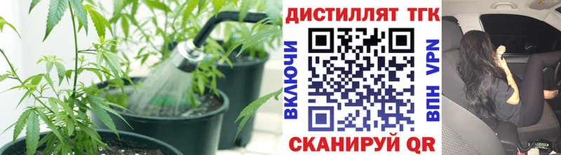ТГК вейп  Нижний Ломов 