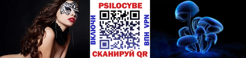Псилоцибиновые грибы Psilocybe  где купить наркотик  Нижний Ломов 